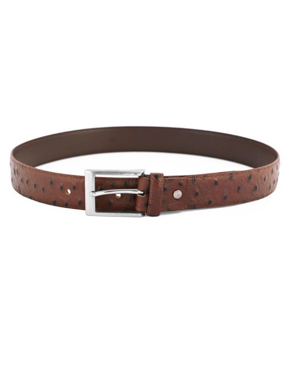Formal Belts Article # AW-FB-08 - Image 2