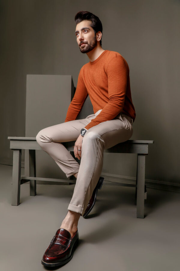 Formal Pant Article # AW-FP-13 - Image 2